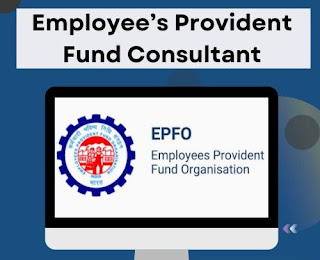 This image has an empty alt attribute; its file name is pf-consultancy-service-1732796282-7708418.jpg